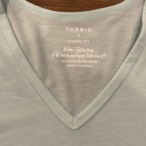 NWT Bundle (2) Torrid Classic Fit Tee Size 2 - Picture 6 of 7